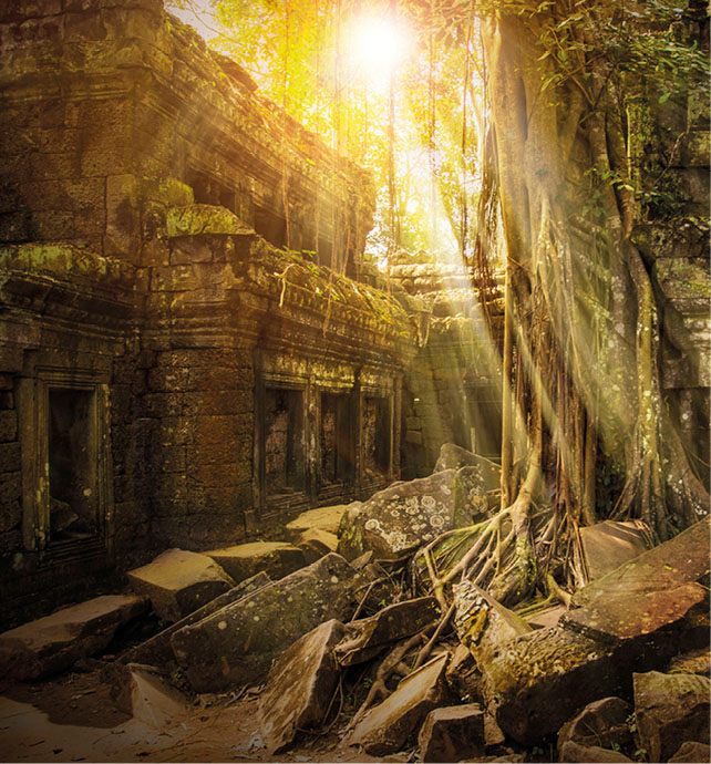 Ta Prohm Temple, Cambodia