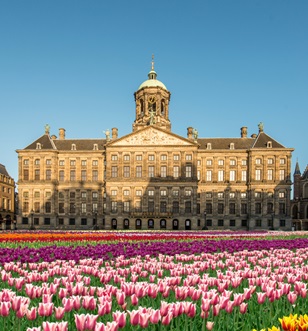Dam square with blooming tulips