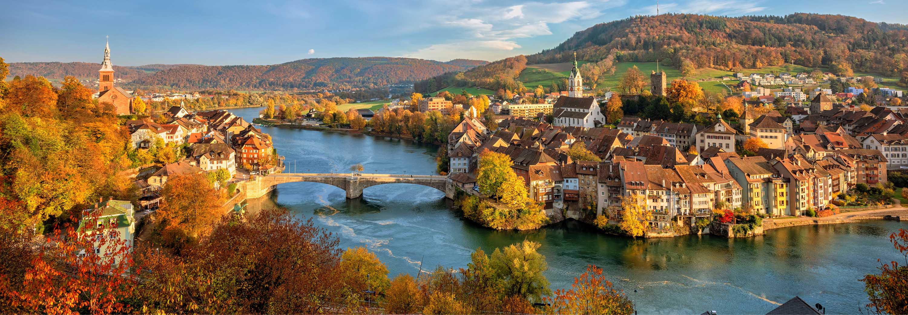 The Rhine River