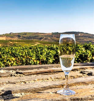 Glass of white wine on a bench over looking the vineyards in Trittenheim, Germany