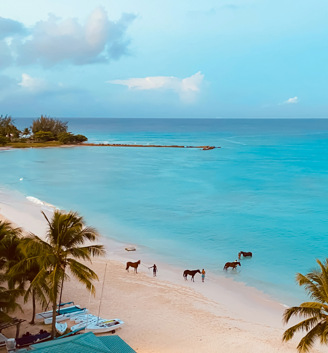 Horse riding on barbados beach