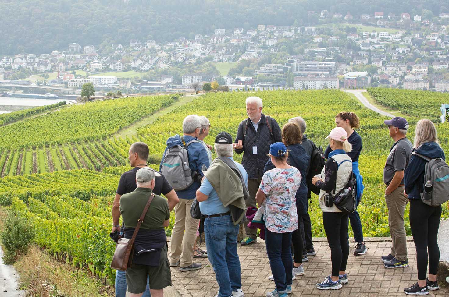 A group of guests being given a tour through the green vineyards of Niederwalddenkmal