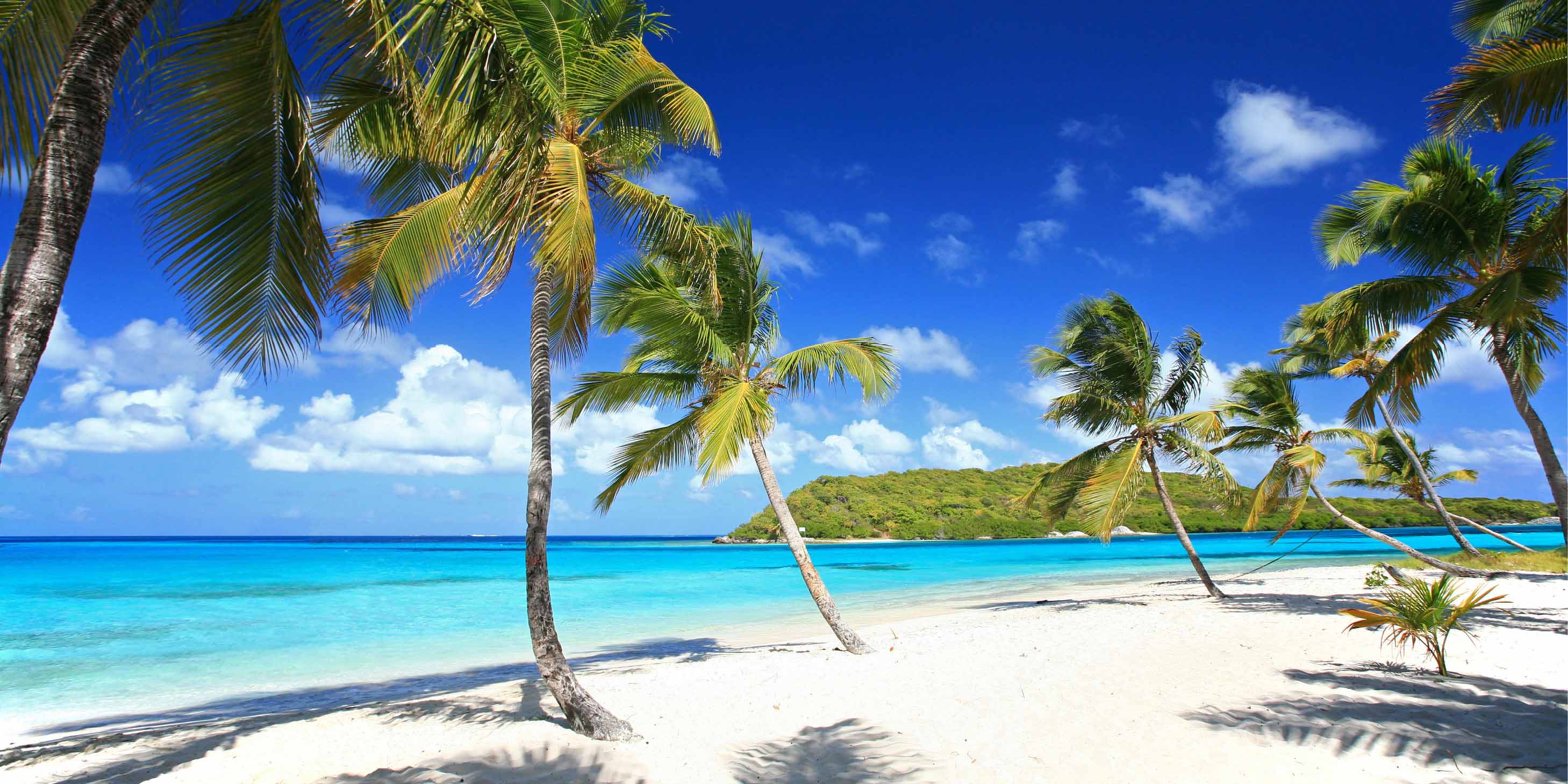 Palm trees blowing in the wind against the blue sky, dotted along the pristine white beaches at Tobago Cays, Grenadines