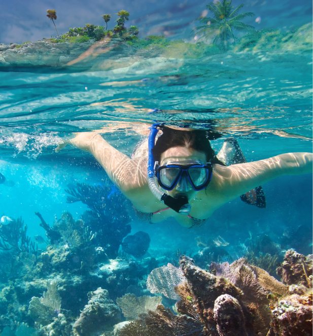 An underwater view of a woman snorkelling towards the camera surrounded by coral reef.