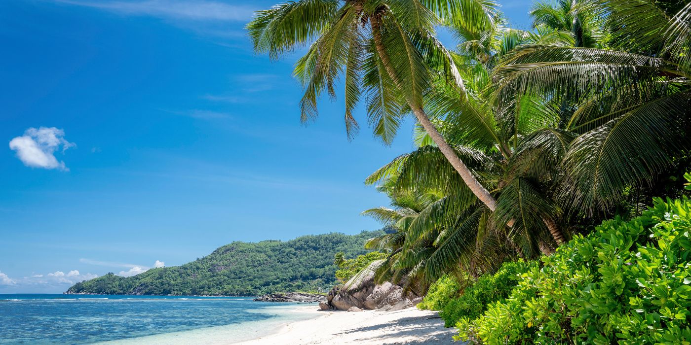 White sand beach with palm trees and lush greenery along the coast of Mahé Island