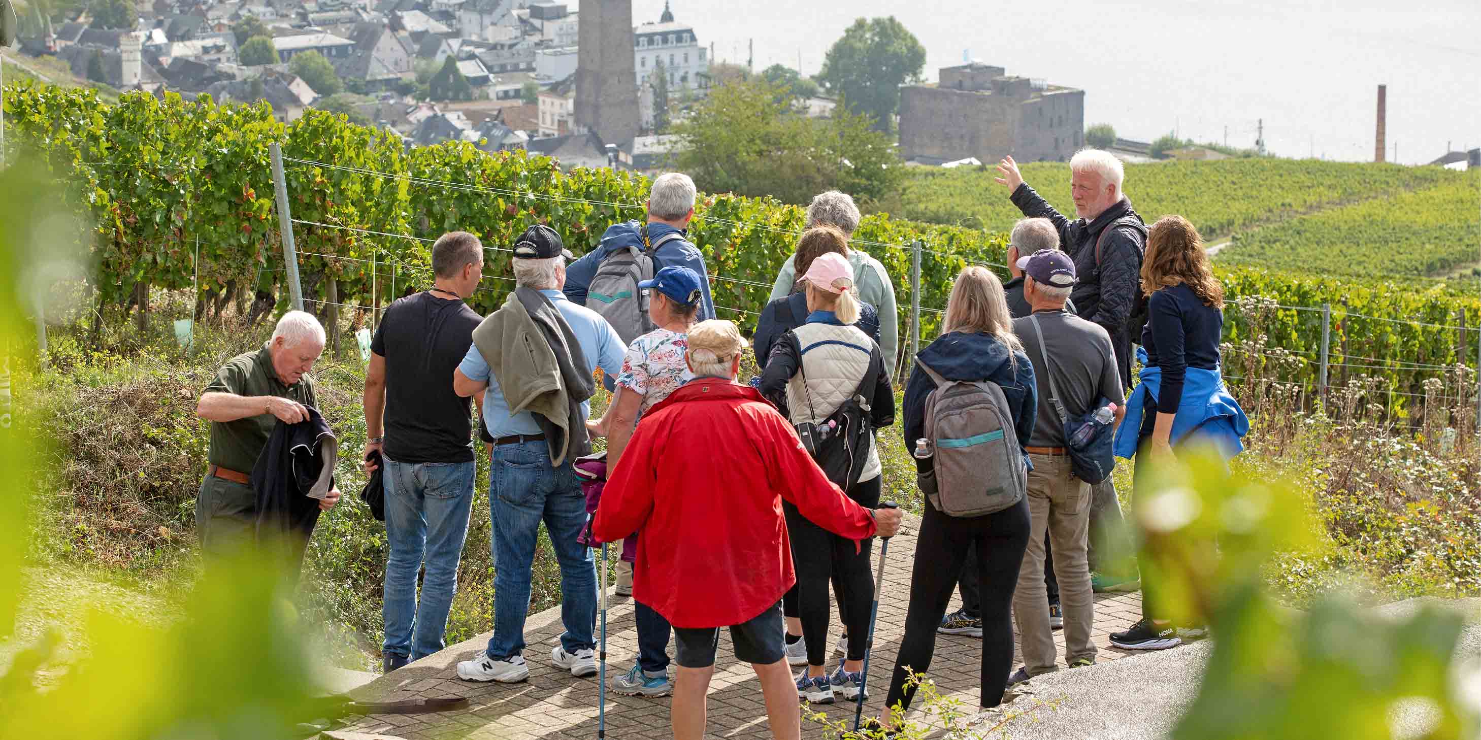 Tour group with tour guide at a vineyard