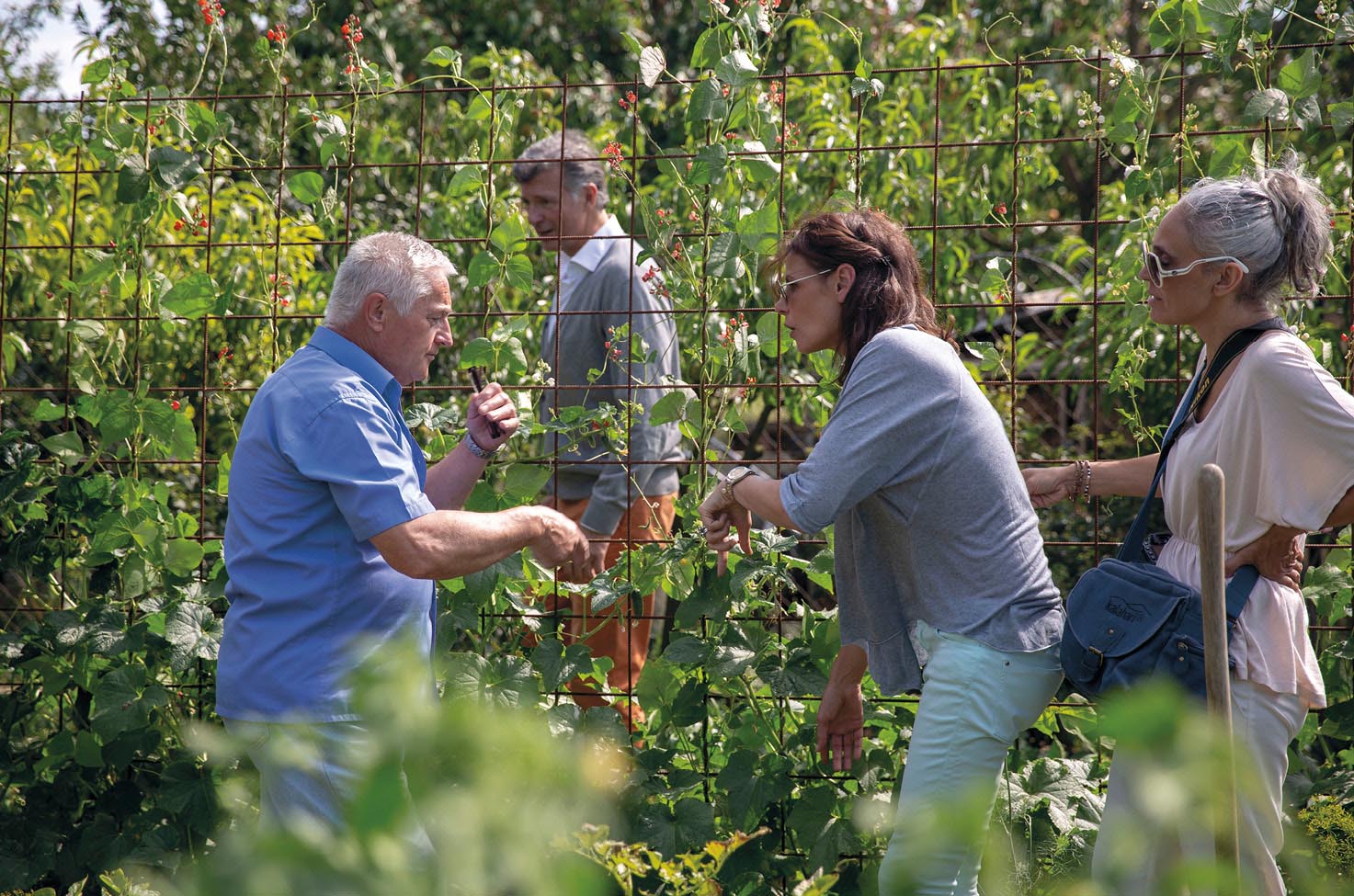 A supplier giving guests an insight into local life during a river cruise excursion, as he walks them through the vines on his land 