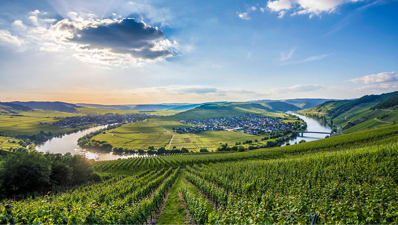 The Moselle River loop, with views of the town and vineyards at sunrise