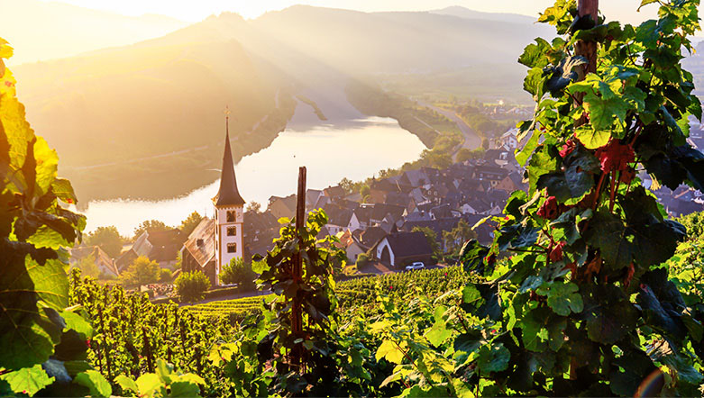 The Moselle River with greenery and castles in the foreground