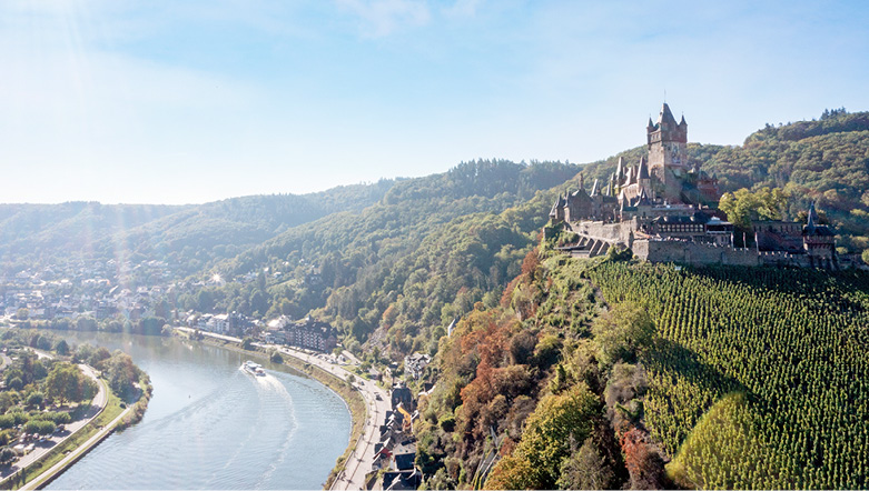 Rows of green field vineyards and Cochem Castle from the river