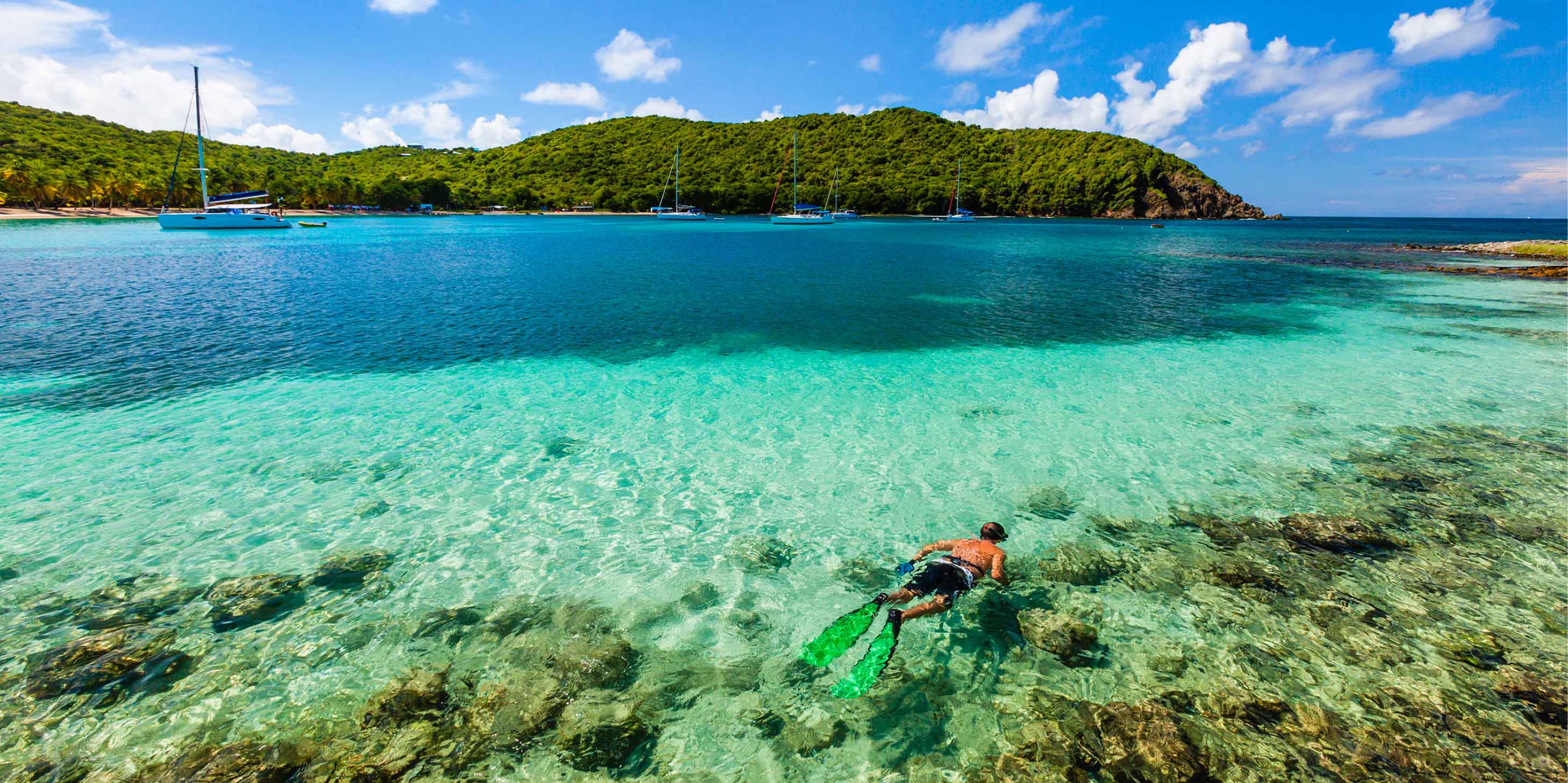 a person snorkelling in clear water with a green island in the background